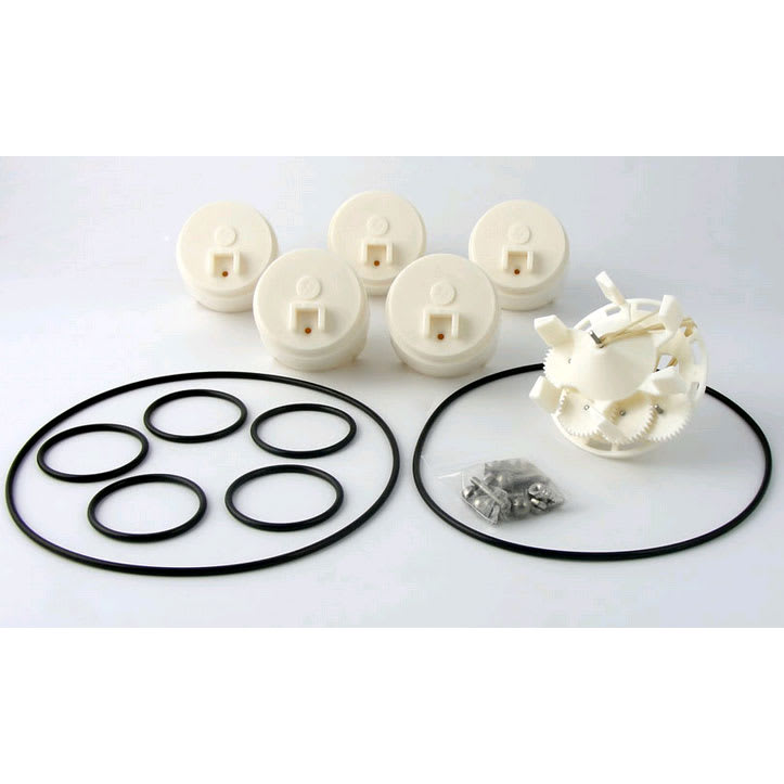 Caretaker 5-9-2001 5 Port Water Valve Rebuild Kit