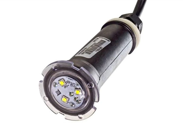 Pentair Light Globrite 12V 50' White | 602103