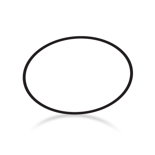 Paramount Water Valve Base O-Ring